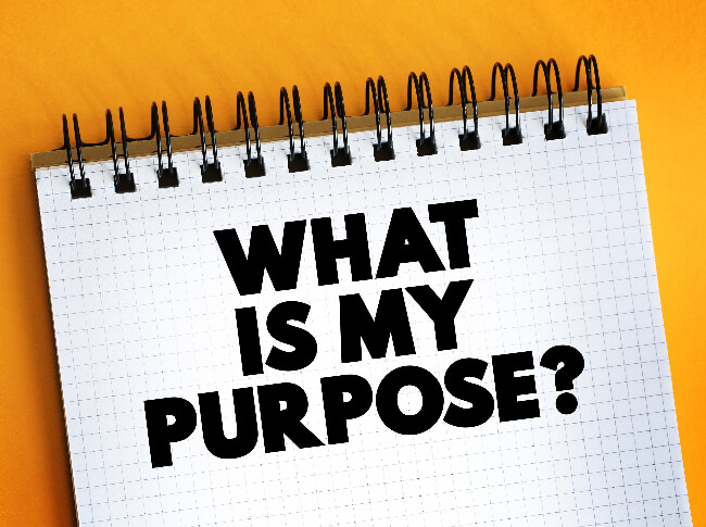 A graph tap with What IS MY PURPOSE written on it