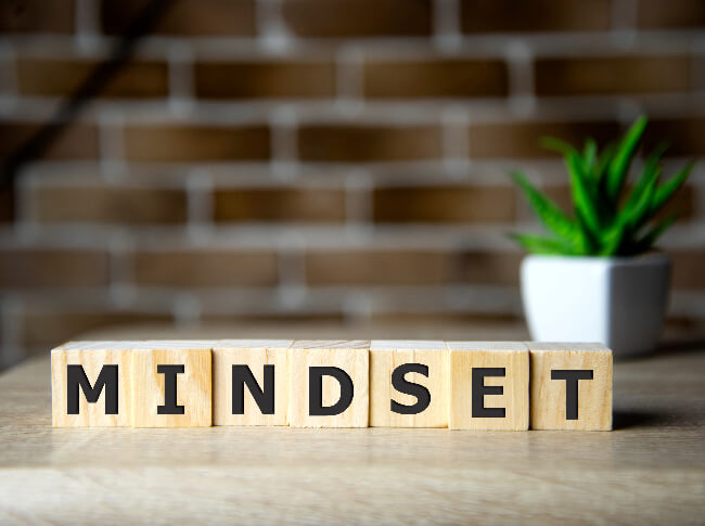 Blocks that spell out mindset on a surface with a plant and with a brick wall as the background