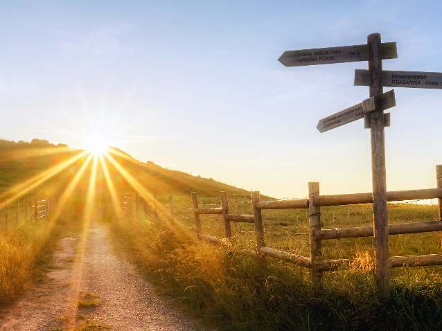 Path to purpose home page header with a picture of a dirt farm road with wooden fence with a glimpse of the sun behind the hil